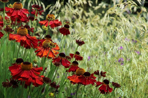 Particuliere toepassing